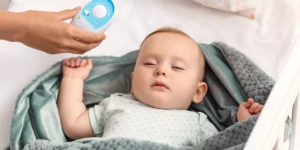 Which Baby Monitors Offer the Best Features for Safety?